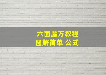 六面魔方教程图解简单 公式